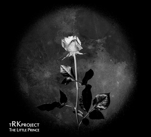 The ryszard kramarski project - ryszard,