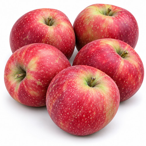 äpfel red jonaprince - Äpfel, jonagold