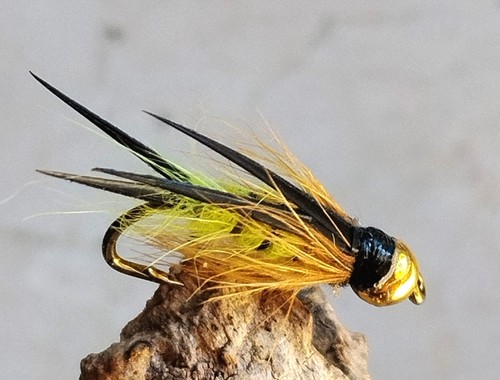 Gilchrist fliegen x - gilchrist, fliegen.